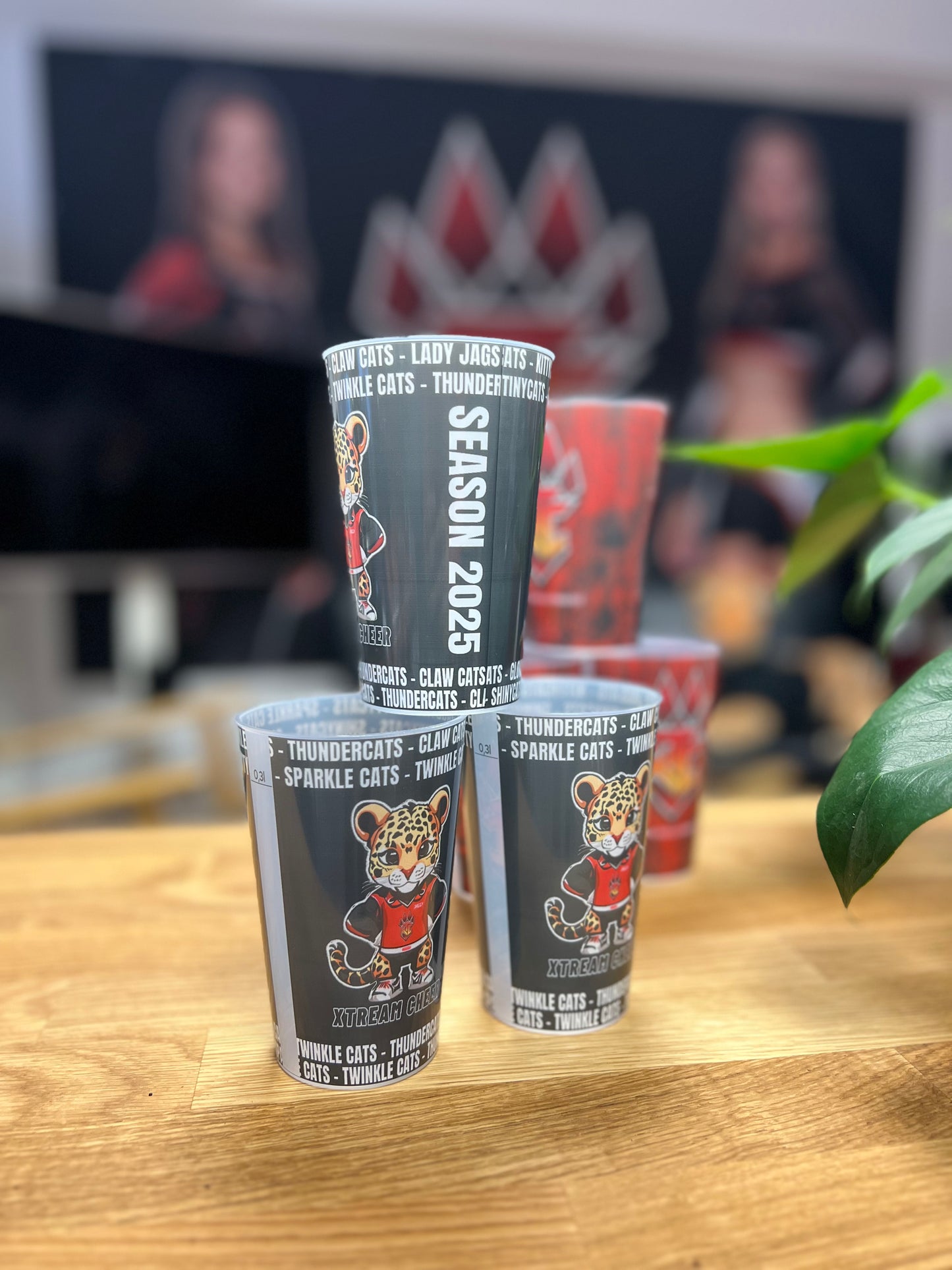 XTC Becher Season 2025 0,3l